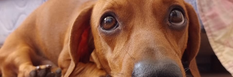 becker_6's profile banner image
