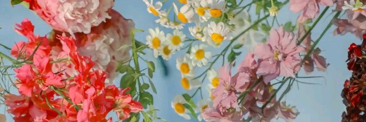 bknmitathevrgin's profile banner image