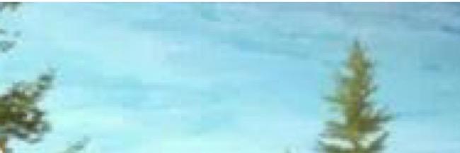 IcyRedHead's profile banner image