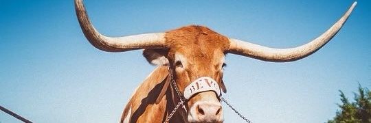 EdKretzschmar's profile banner image