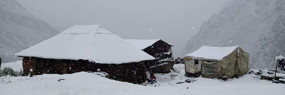 A B I A N T V N banner