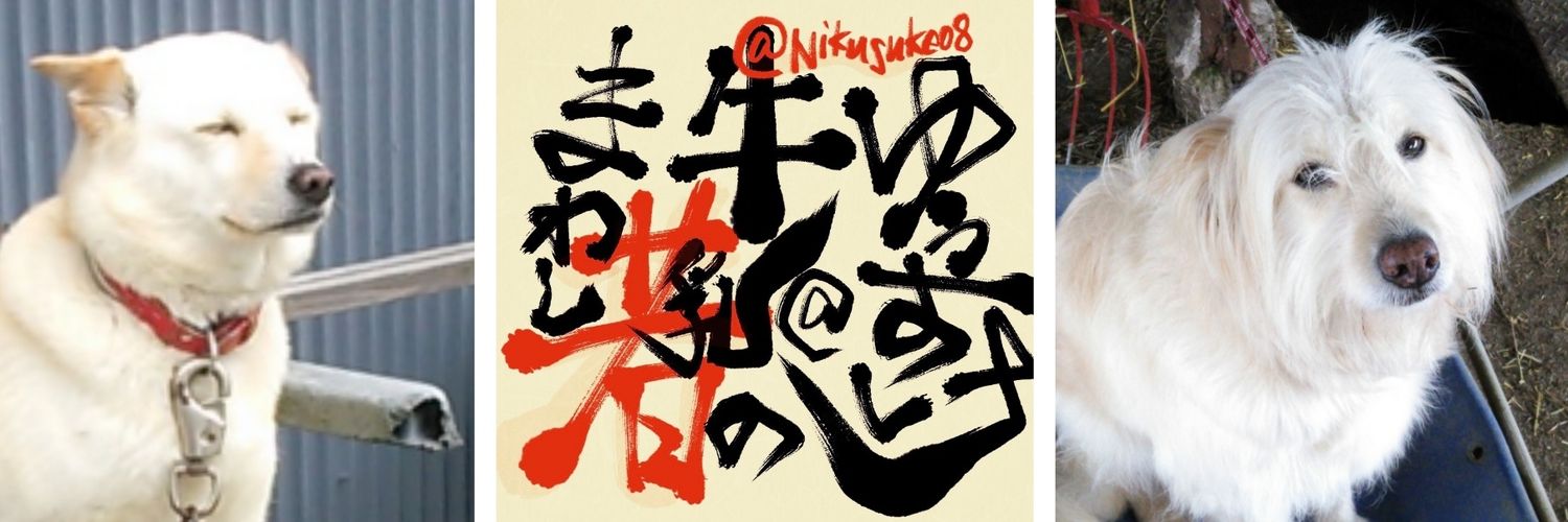Nikusuke08's profile banner image