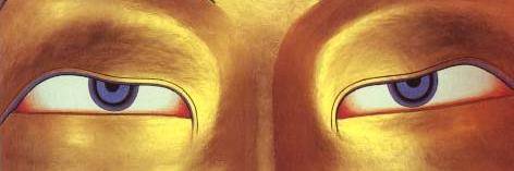 FedericaFor's profile banner image