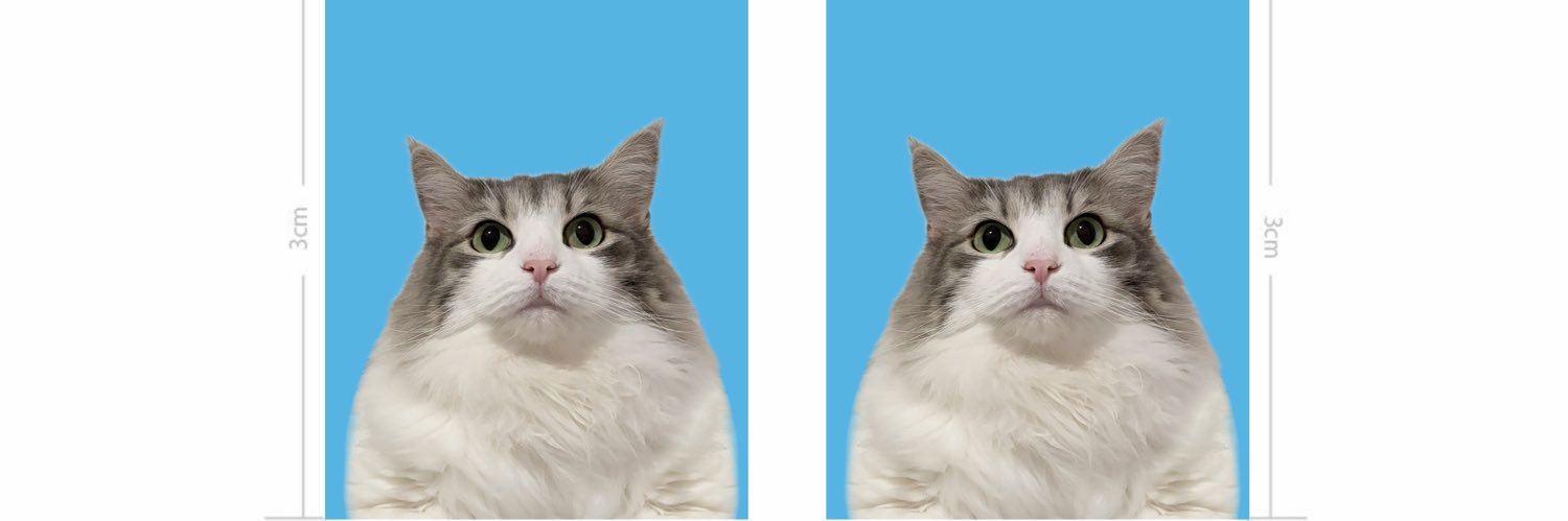 REIREISAN_'s profile banner image