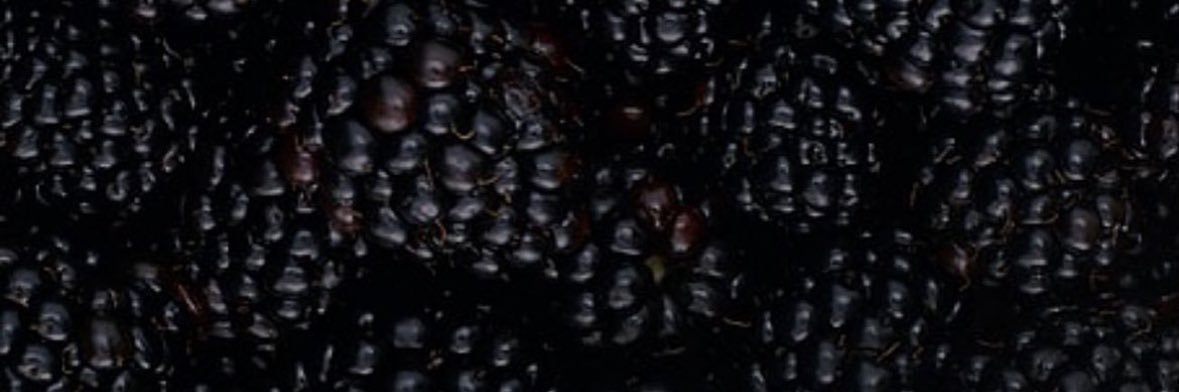 ReVanessa95's profile banner image