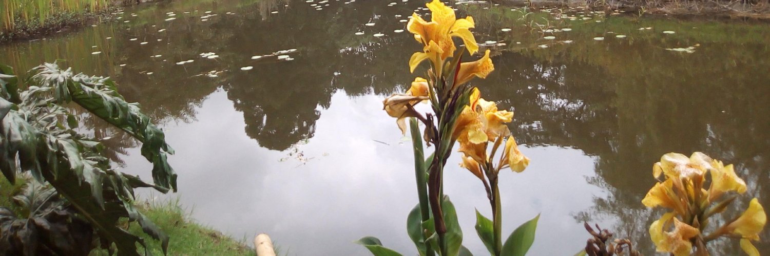 danielaortizc's profile banner image