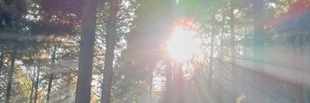 tanpanpan's profile banner image