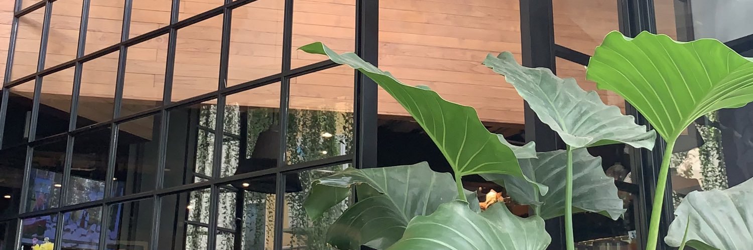 ariefeb21's profile banner image