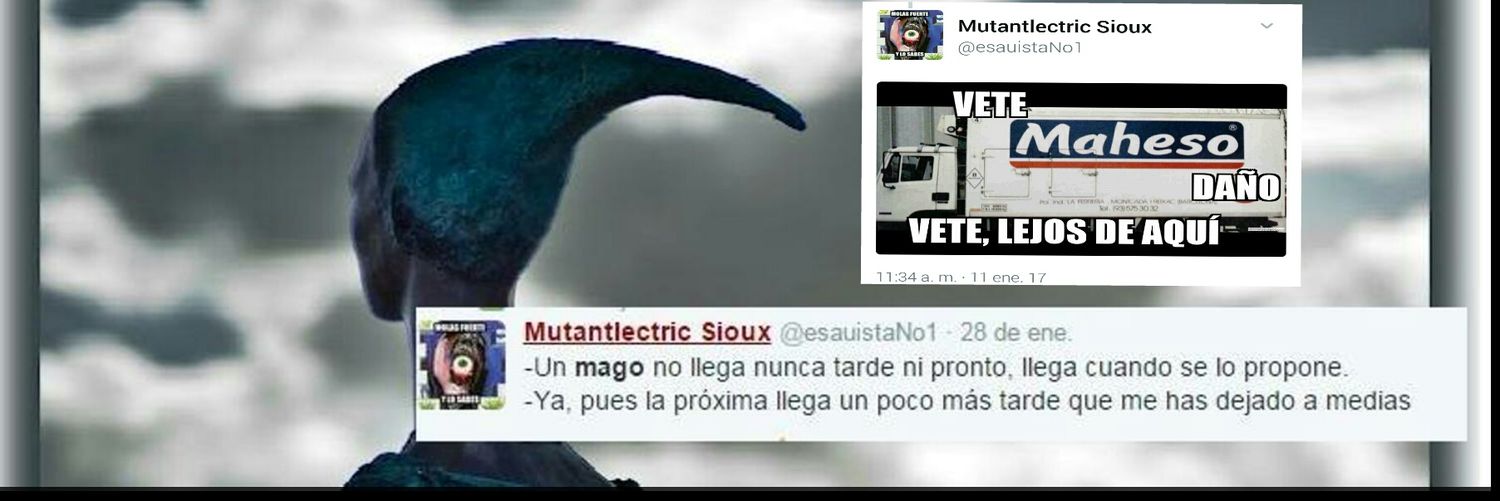 NoctilucaLoca's profile banner image