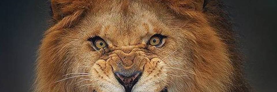 JonW______'s profile banner image