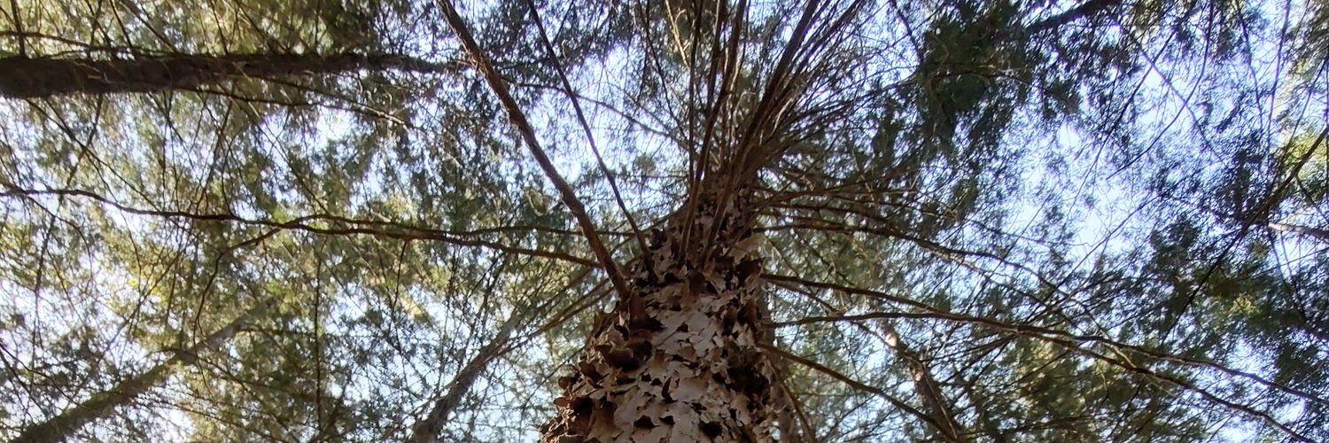 maderofe69's profile banner image