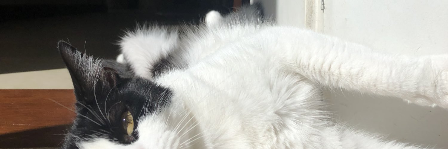 valuculasso's profile banner image