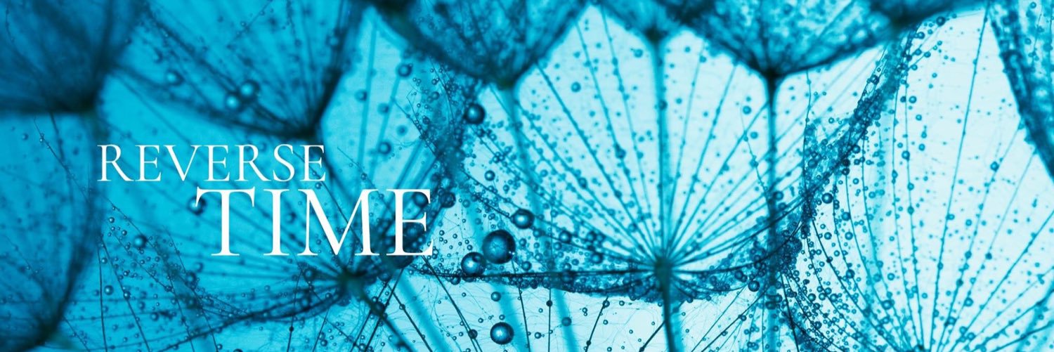RegimAItaly's profile banner image