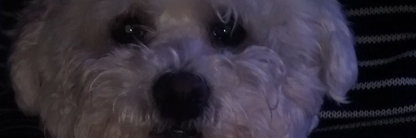alisonmcd38's profile banner image