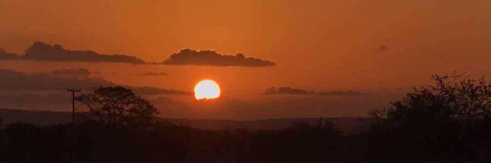 olecrampacheco's profile banner image