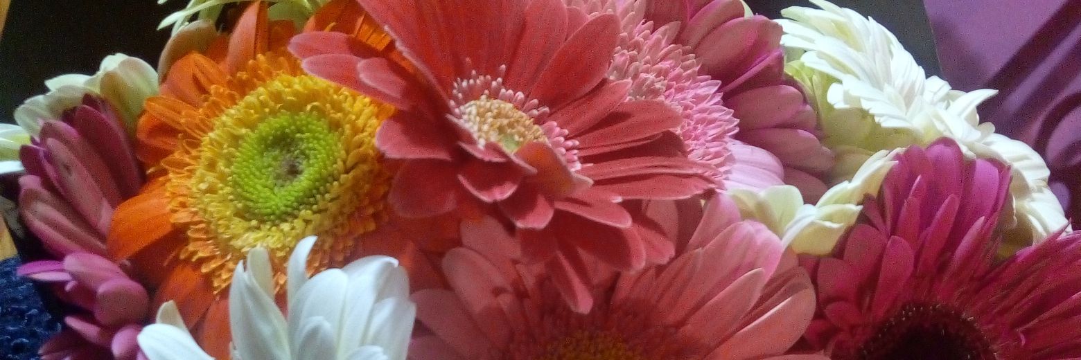 tabathasamanth2's profile banner image