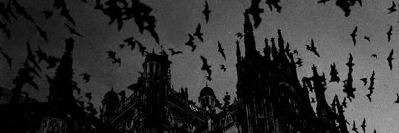 Zarkahs's profile banner image