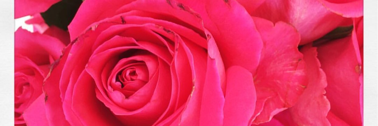 jodiemay1990's profile banner image