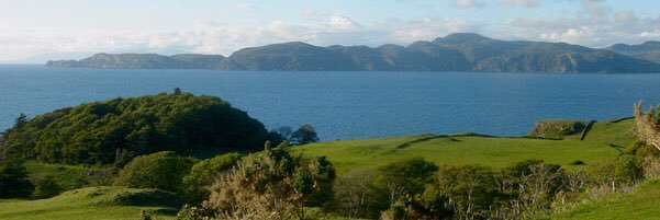 Sarah J Rhynas banner