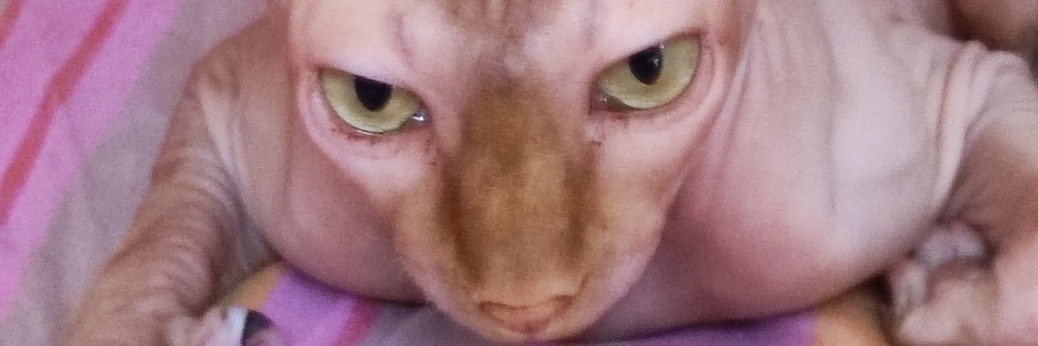 Gemmarex's profile banner image