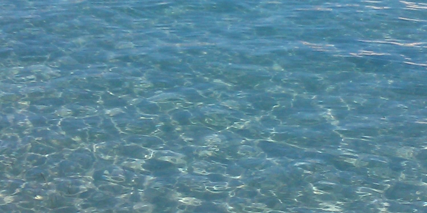 trinuka7's profile banner image