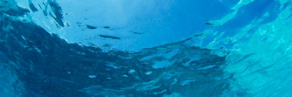 nchrisso Profile Banner