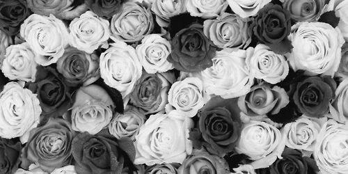 HarryRPGWD's profile banner image