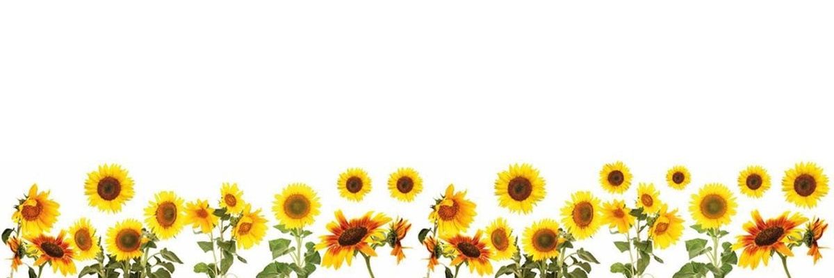 AdeliPalacios's profile banner image