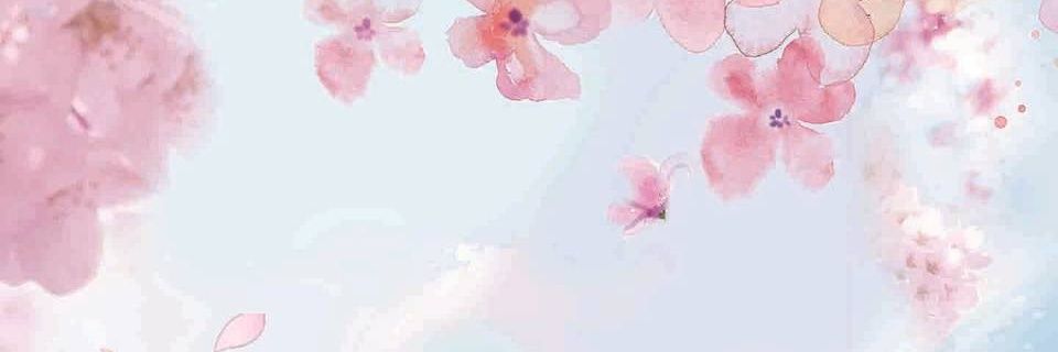 aamaidevilaa's profile banner image