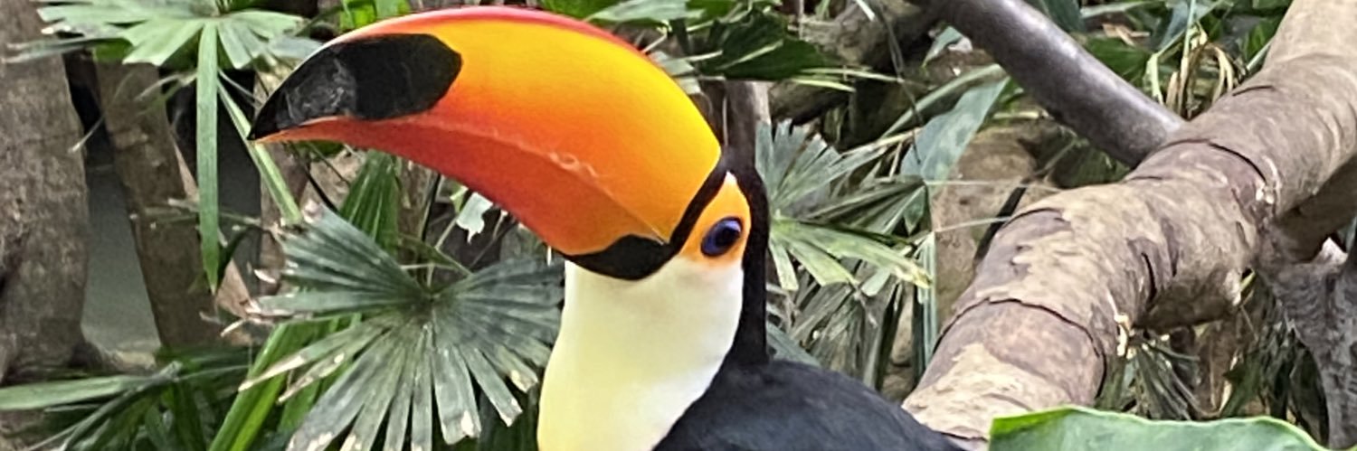Huulaito's profile banner image