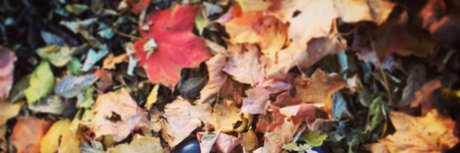 brimarie1992's profile banner image