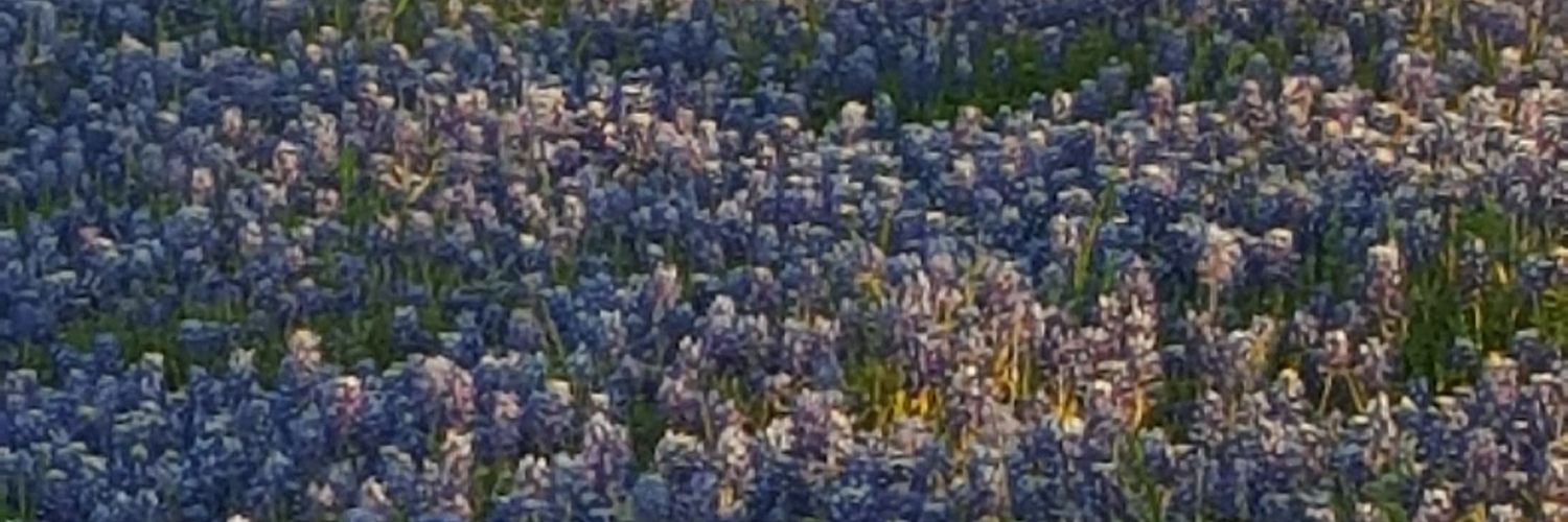 sagevane's profile banner image