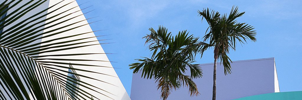 𝐄𝐧𝐬𝐥𝐲 banner