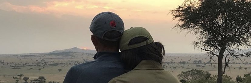 palacebred's profile banner image