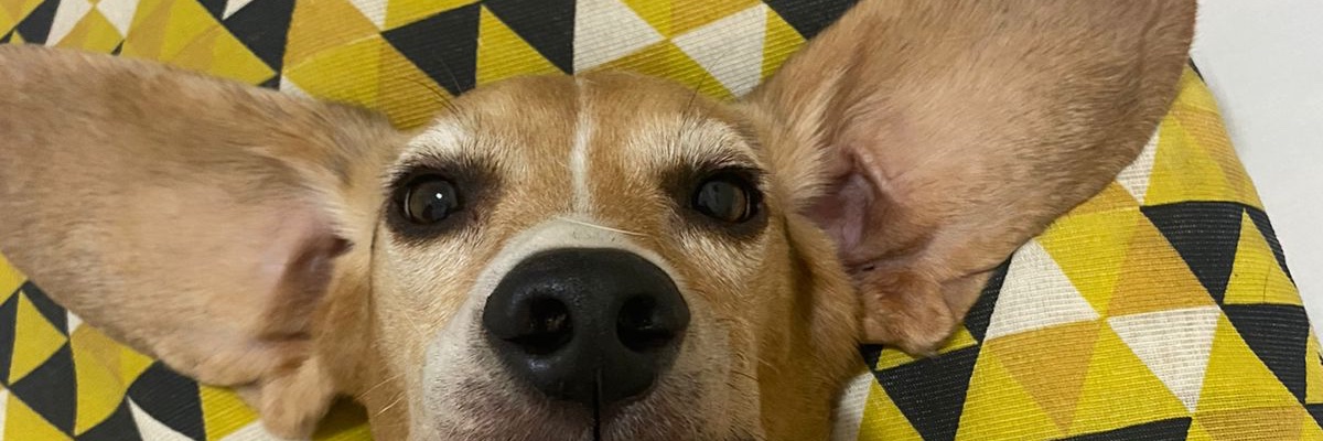 mgls18_'s profile banner image