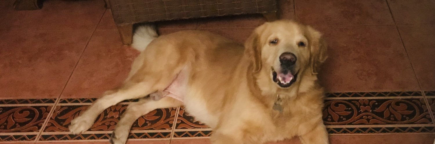 day_knee's profile banner image