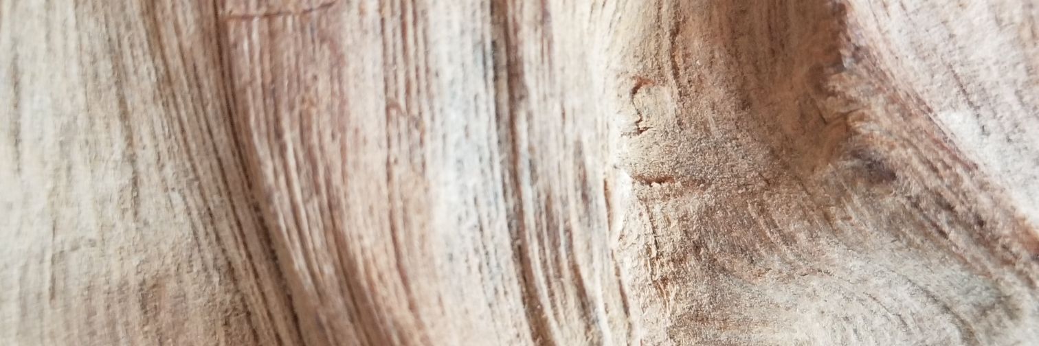 ed8theworm's profile banner image