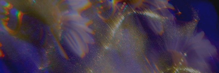 SlCARl0's profile banner image