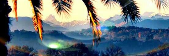 Lili_pops93's profile banner image