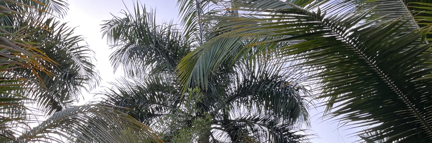 manmeet_singhh's profile banner image
