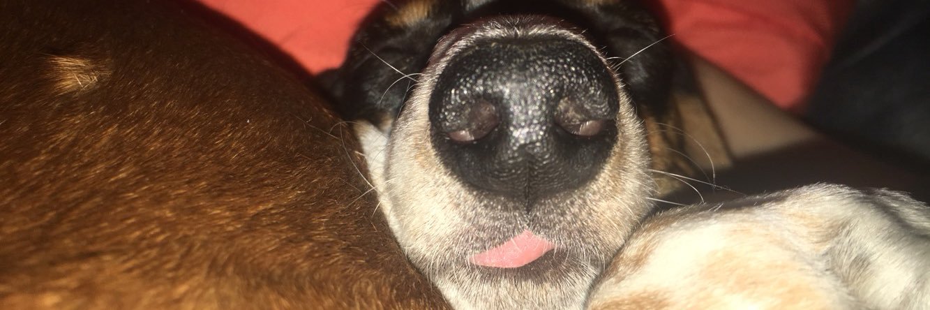 eggsxbenedict's profile banner image