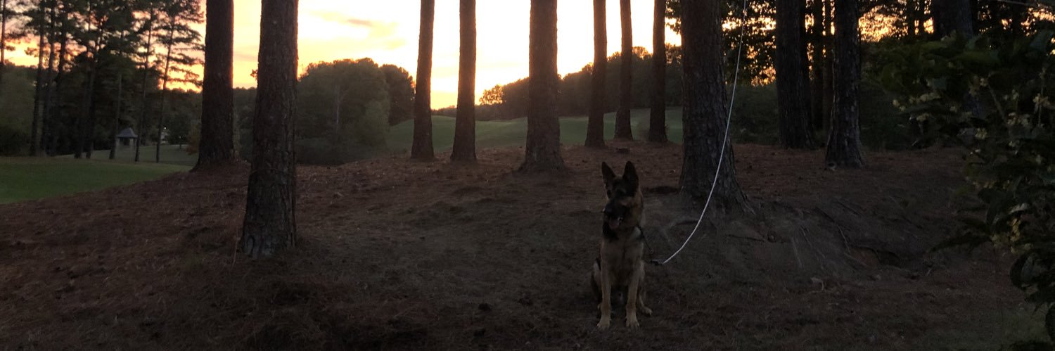AndersonDaken's profile banner image