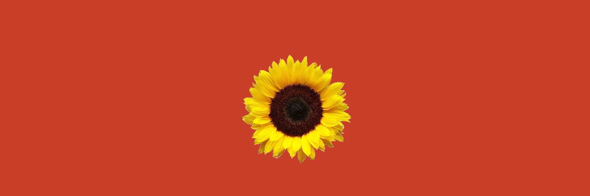 gabbiesrose's profile banner image