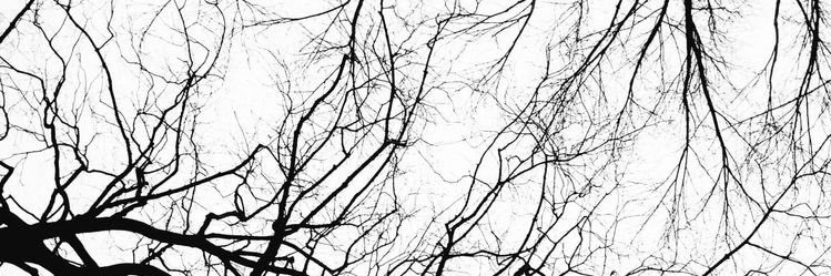 vellar_skin's profile banner image