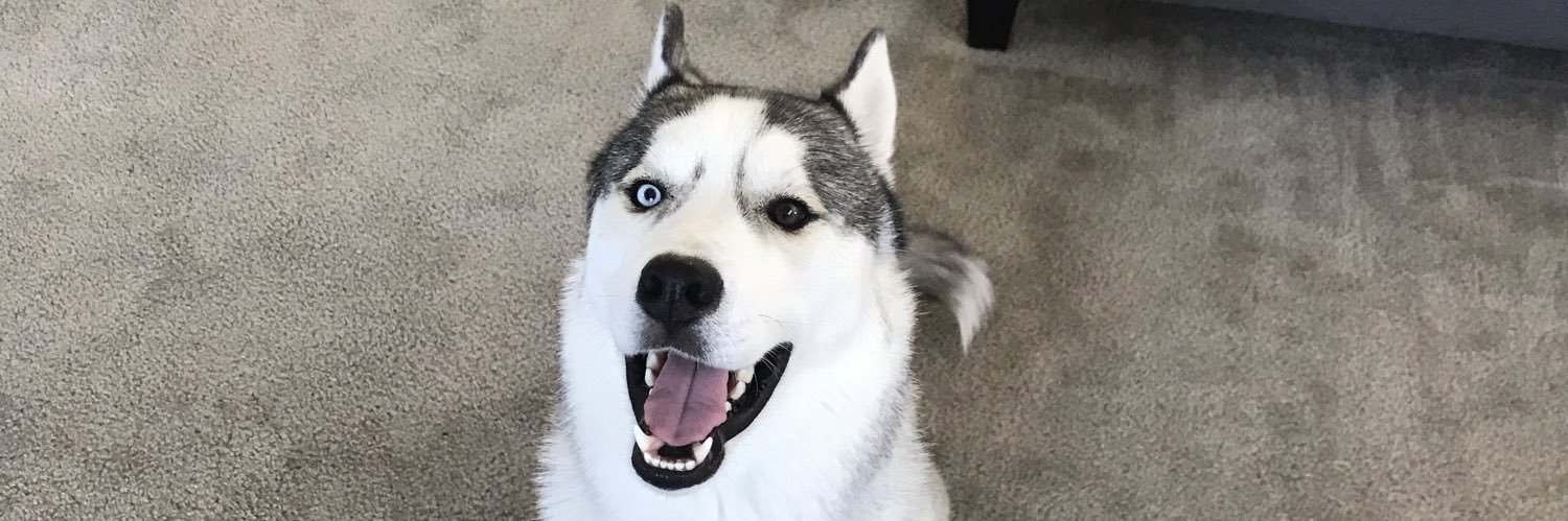 thekliu's profile banner image
