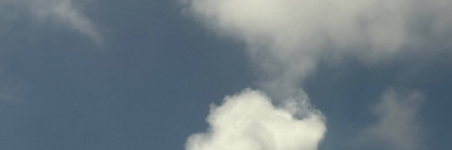 daniebtch's profile banner image