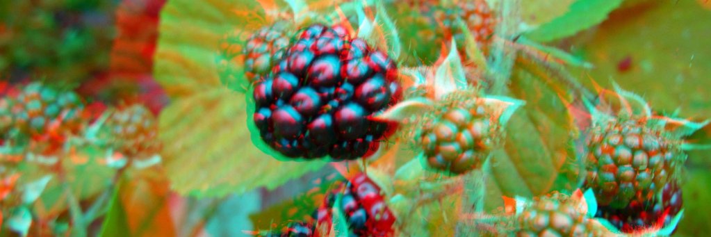 ritvik_dave's profile banner image