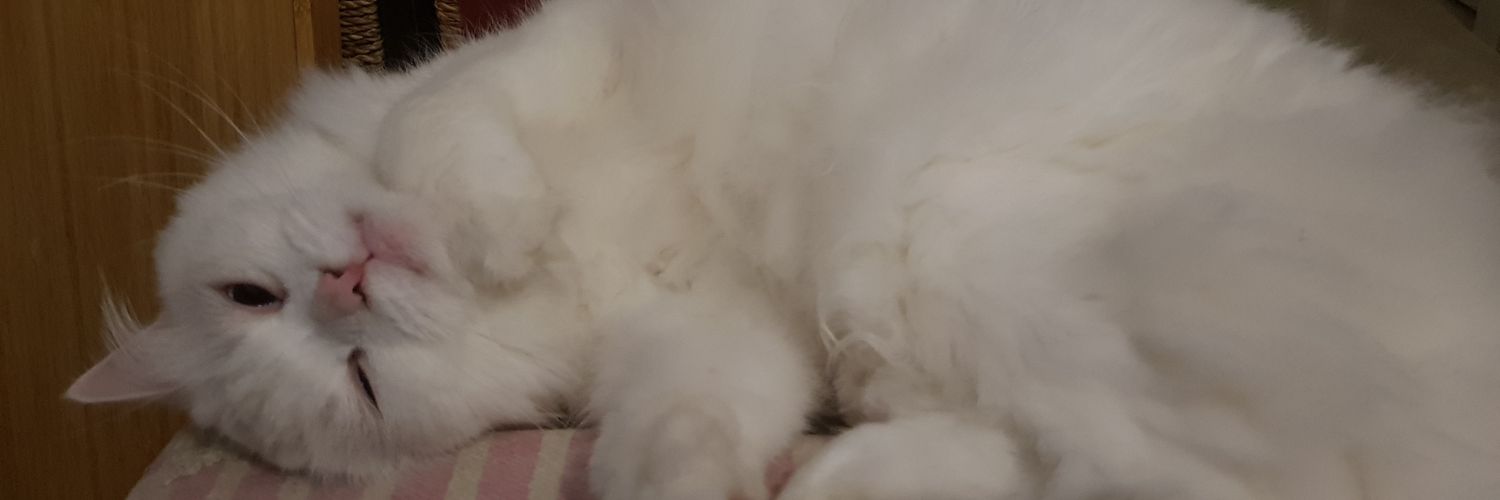 Phinphus's profile banner image