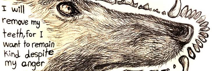 adoredthey's profile banner image