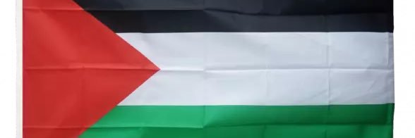 Dr North 🇵🇸 banner